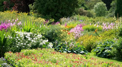 blumen3_fl