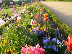 blumenbeet_fl