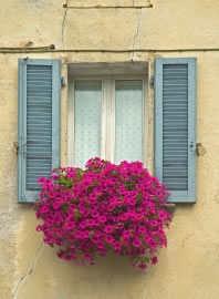 blumenkasten6_fl