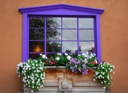 blumenkasten9_fl