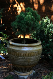 bonsai-pflanzkuebel-blumenkuebel-stein fl