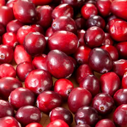 cranberries2 fl