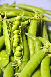 erbsen_fl