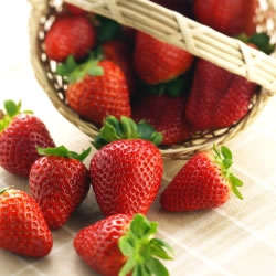 erdbeeren5_fl