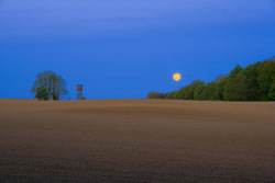 feld-mond-wald-hochsitz_fl