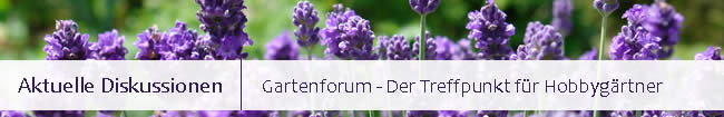 Gartenforum