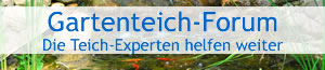 Gartenteich