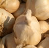 knoblauch_fl