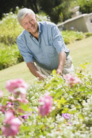 garten4_fl