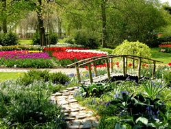 garten5_fl