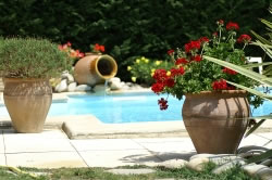 garten9_fl