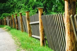 Gartenzaun, Zaun & Zäune - Hausgarten.net