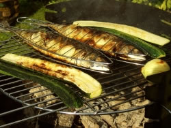grillen-fisch fl