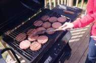 grillen3-ca