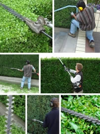 hecke3_fl