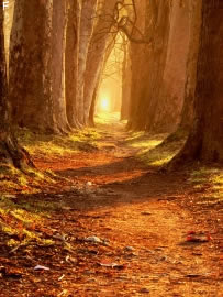 herbst_wetter1
