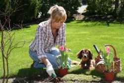 hund-garten2_fl