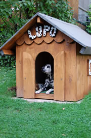 hundehuette_fl
