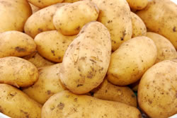 kartoffeln_fl