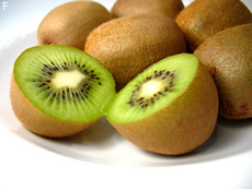 Kiwipflanze