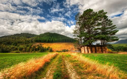 landschaft_fl