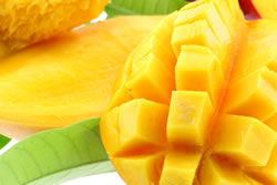 mango3_fl