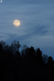 Gürtnern mit dem Mond