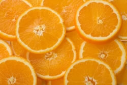 orange_fl