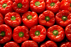 paprika4_fl