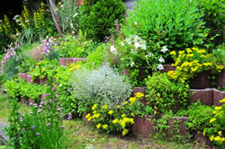 pflanzkaesten-gartengestaltung_fl