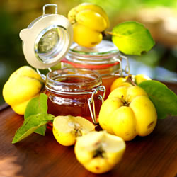 quitten-marmelade_fl