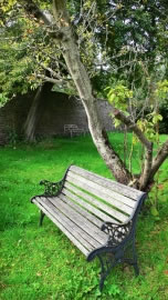 rasen-bank_fl
