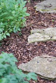 rindenmulch-weg_fl