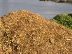rindenmulch4_fl