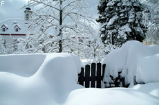 Schnee im Winter