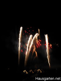 Silvester mit Freunden