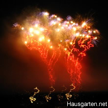 Silvesterparty