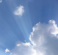 Sonne im Frühling