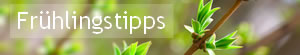 Frühlingstipps für den Garten