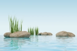 steine-wasser_fl