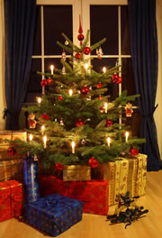 tannebaum-weihnachten fl