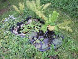 teich-klein apf