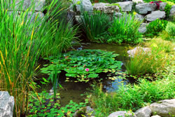 teich-naturstein fl