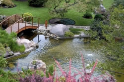 teich1