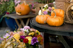 tischdekoration-herbst2_fl