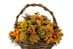 trockenblumen3_fl