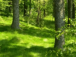 wald_fl