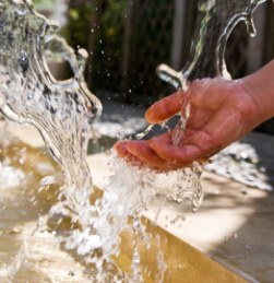 wasser1 fl