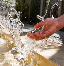 wasser_fl